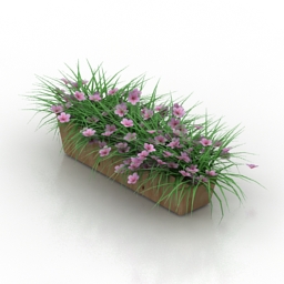 Flowers box 3d model