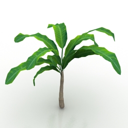 3d Plants Models Free Download Downloadfree3dcom - banana tree 3d model free download