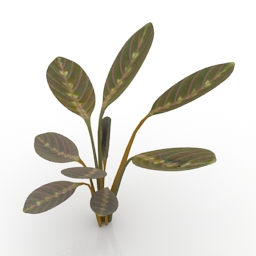 Plant Prayer 3d model