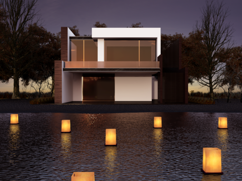 HOUSE IN LAKE 3D model