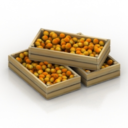Apricots 3d model