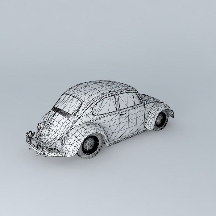 Beetle 1961