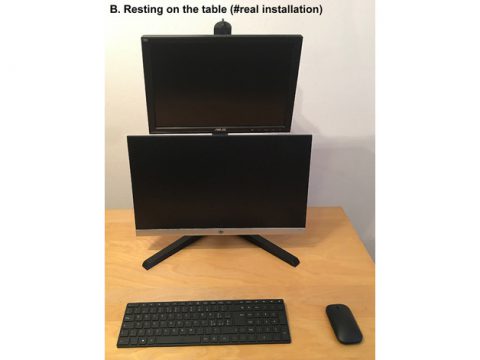 Dual vertical LCD monitor stand VESA