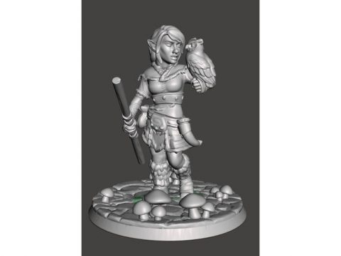 Female Gnome Druid | DownloadFree3D.com