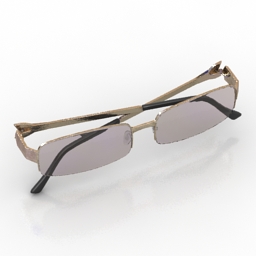 Glasses 3d model