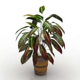 3d Plants Models Free Download Downloadfree3d Com