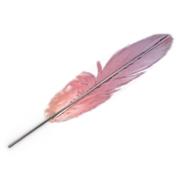 Feather 3d model