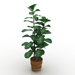 3d Plants Models Free Download Downloadfree3d Com