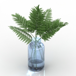 Vase fern 3d model