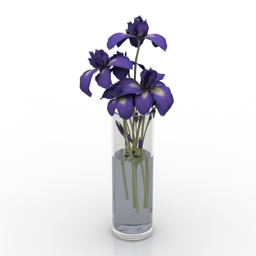 Vase iris 3d model