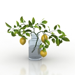 Vase lemon 3d model