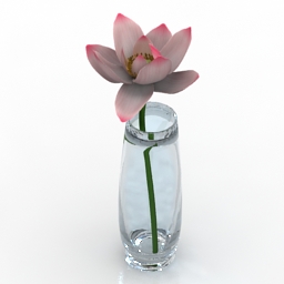 Vase lotus 3d model