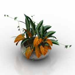 Plants vase 3d model