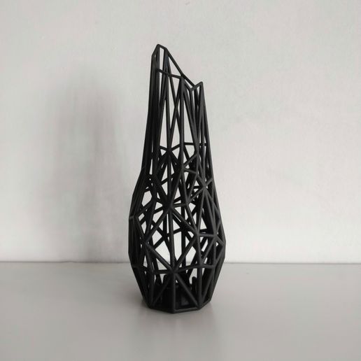 Wired Vase