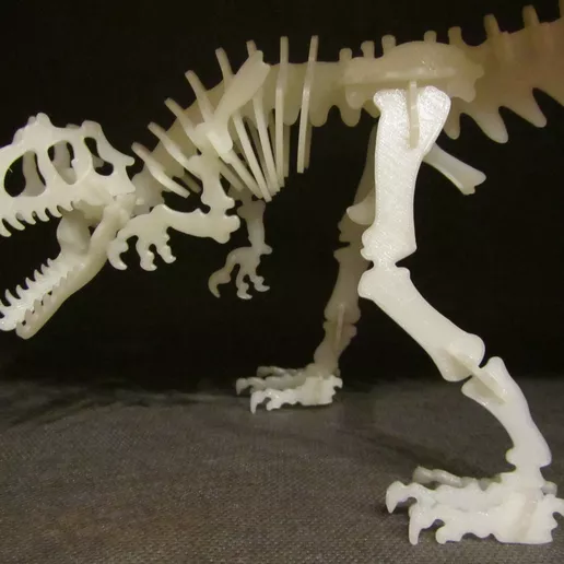 Allosaurus 3D Puzzle Construction Kit