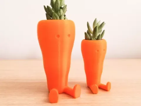 Cute Carrot Shaped Succulent planter