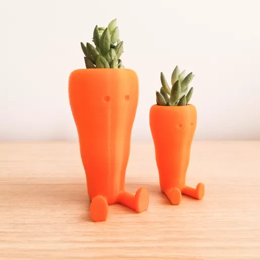 Cute Carrot Shaped Succulent planter