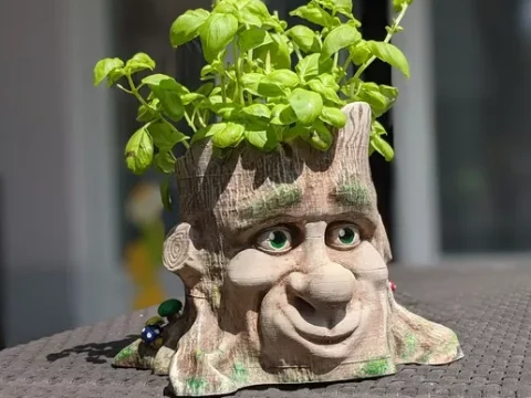 Cartoon Style Tree Face Planter