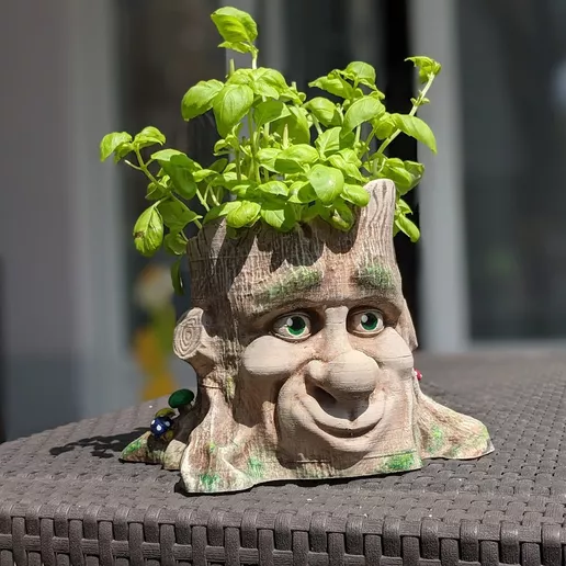 Cartoon Style Tree Face Planter