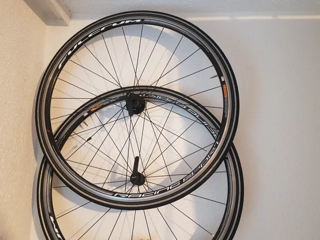 Bicycle wheelset wall mount
