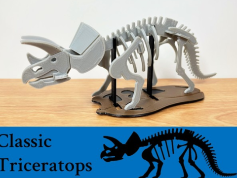 Classic Style Triceratops
