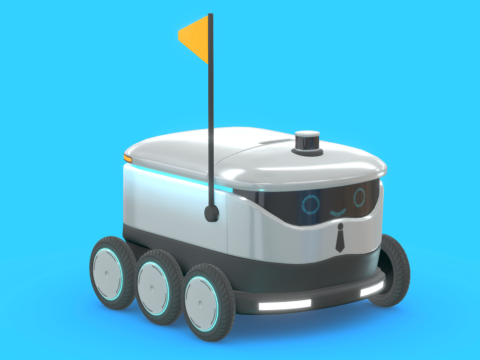 Food Delivery Robot
