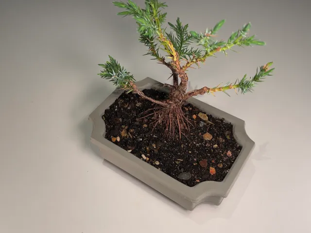 Bonsai pots