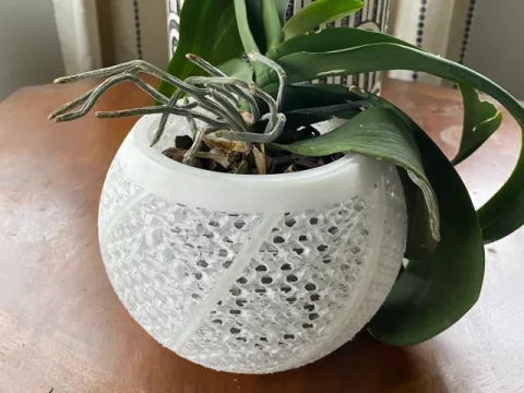 Gyroid Infill Orchid Pot