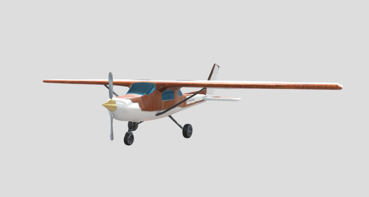 Luxury Cessna Plane