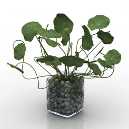 Plant decor 3d model