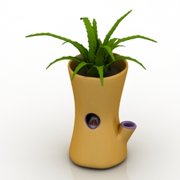 Plant decorative vase aloe 3d model