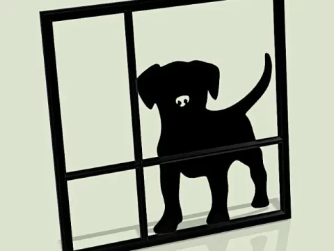 Puppy At Window