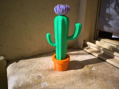 Colorful Cactus w/ Flower