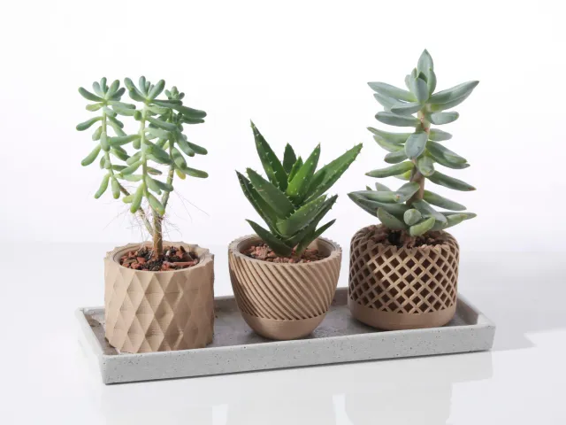 Modern geometric succulent plant pot 