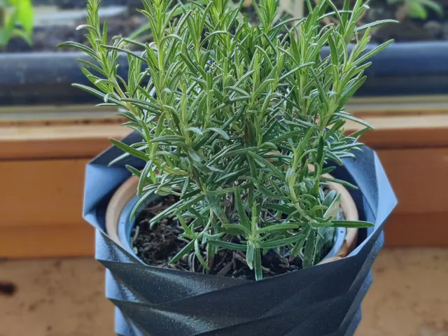 Twisted plant pot 