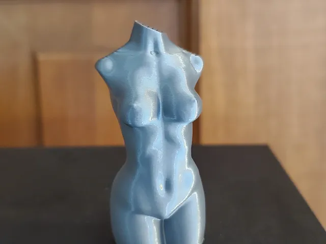 Female Body (Vase Mode) 