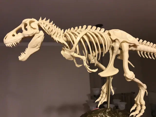 T-Rex Skeleton printable 