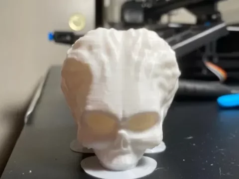 Martian Skull