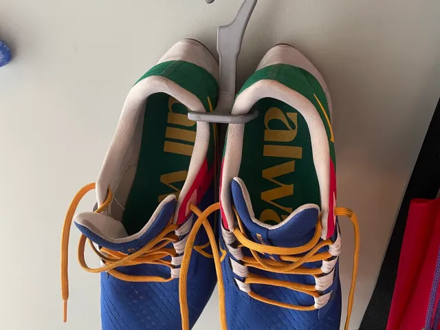 Sneaker/Shoe Hanger 