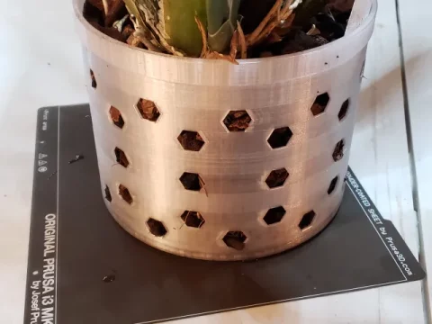 Orchid Pot Hexagon