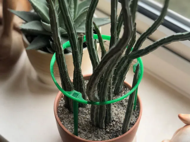 Plant Support 
