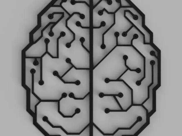 Brain Circuit 2D 