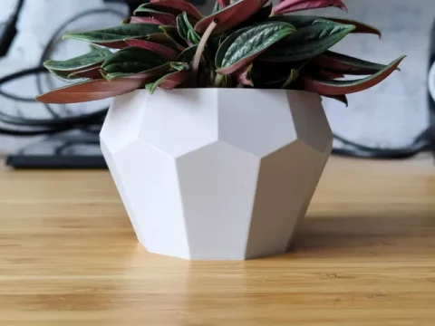 Tall Geometrical Bonsai Pot and planter