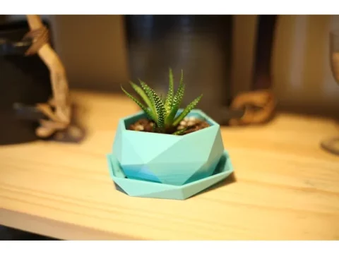 low polly mini plant pot 3d model