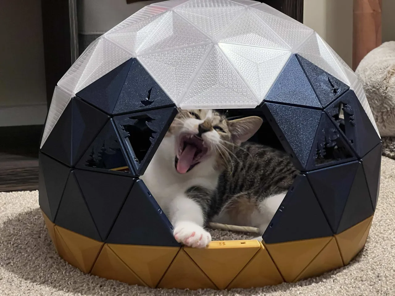 Geodesic Dome Cat House - Pine Tree Cutouts 3d model