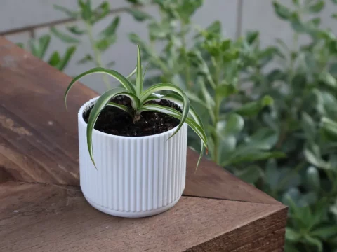 70's Style Planter with drainage holes 3d model
