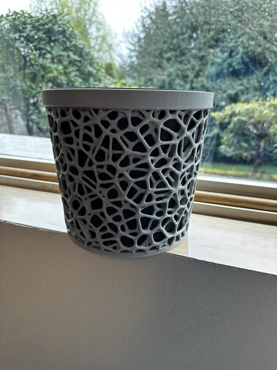 Voronoi Planter with Self Watering Insert 3d model