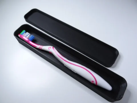 Toothbrush Case 3d model