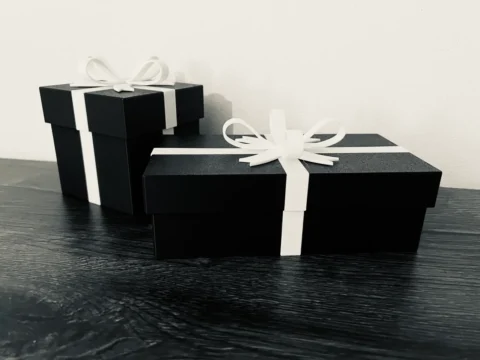 2 Types - Present box with lock 3d model