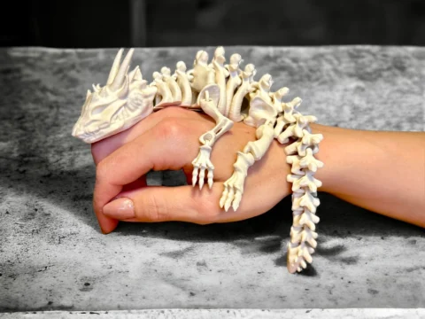 Articulated Skeleton Dragon 3d model